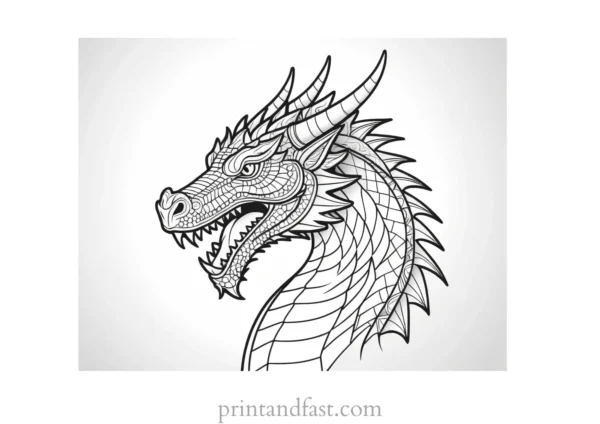 dragon coloring page outline