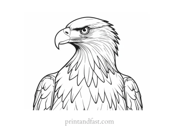 eagle body coloring page