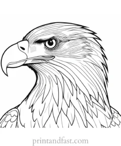 eagle coloring page easy