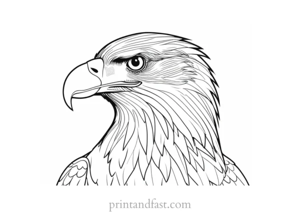 eagle coloring page easy