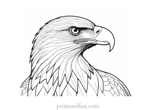 eagle coloring page for adults