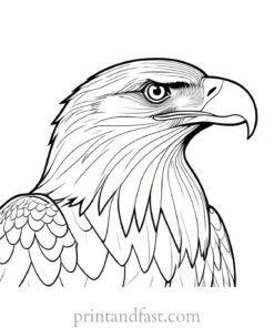 eagle coloring page for kids