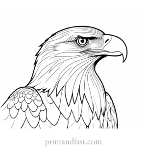 eagle coloring page for kids