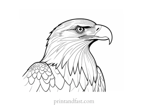 eagle coloring page for kids