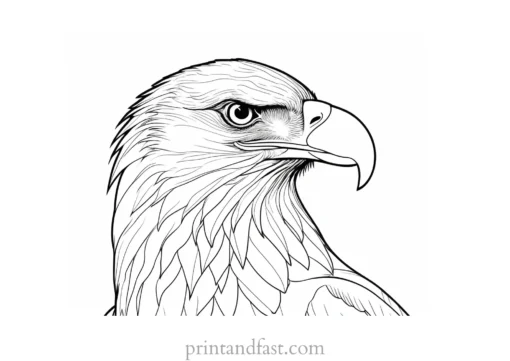 eagle coloring page printable