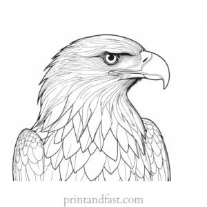 eagle coloring page with feathers