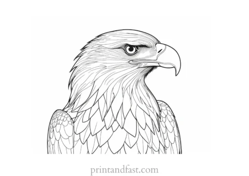 eagle coloring page with feathers