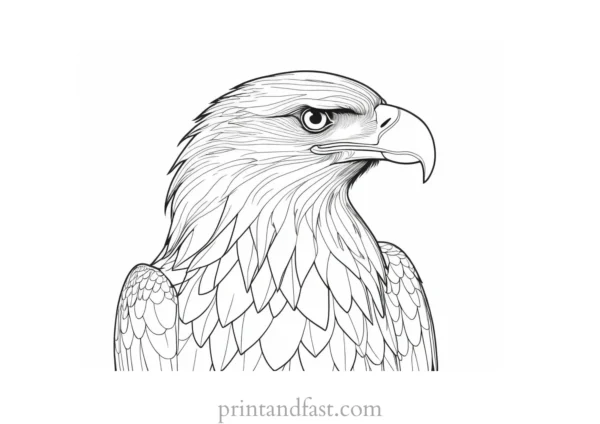 eagle coloring page with feathers