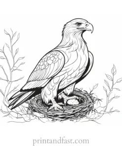 eagle coloring page with nest