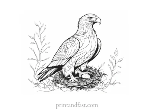 eagle coloring page with nest