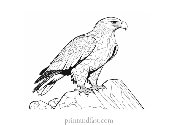 eagle coloring page with rocks