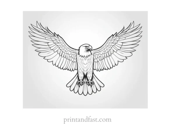 eagle coloring page with wings