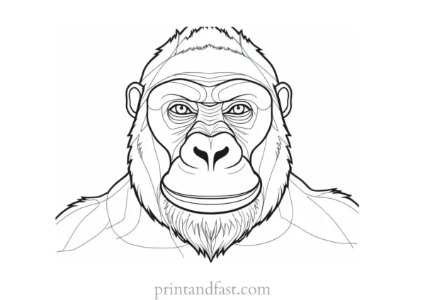 easy Gorilla Coloring Page