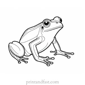 easy frog coloring page