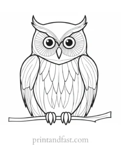 easy owl coloring page