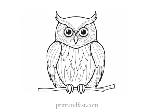 easy owl coloring page