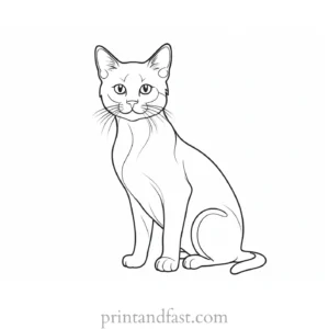 educational kitten coloring page