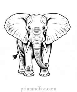 elephant coloring page for adults