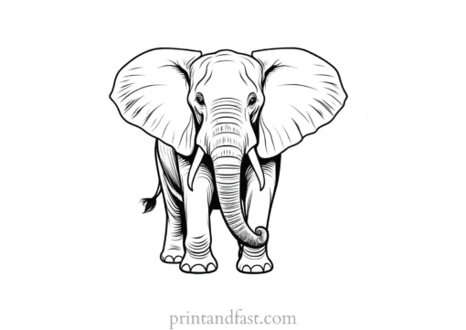 elephant coloring page for adults