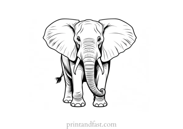 elephant coloring page for adults