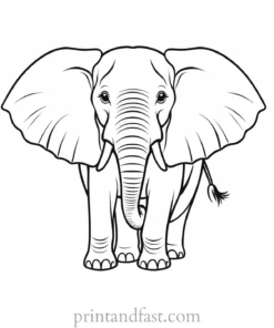 elephant coloring page for kids