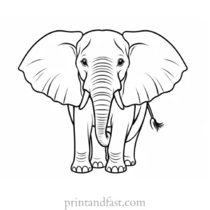 elephant coloring page for kids