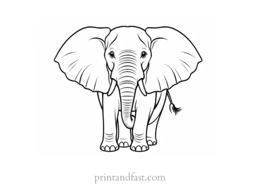 elephant coloring page for kids