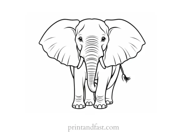 elephant coloring page for kids