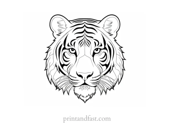 exotic tiger coloring page