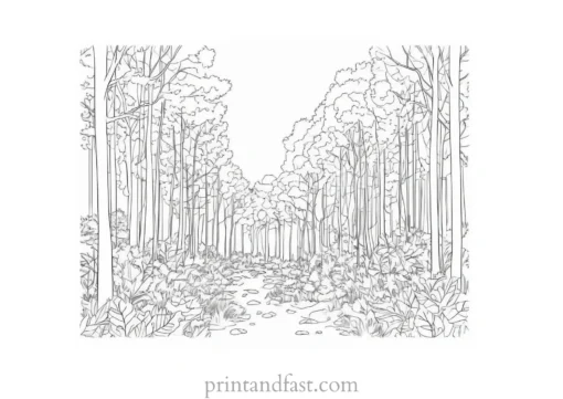 fall coloring page forest