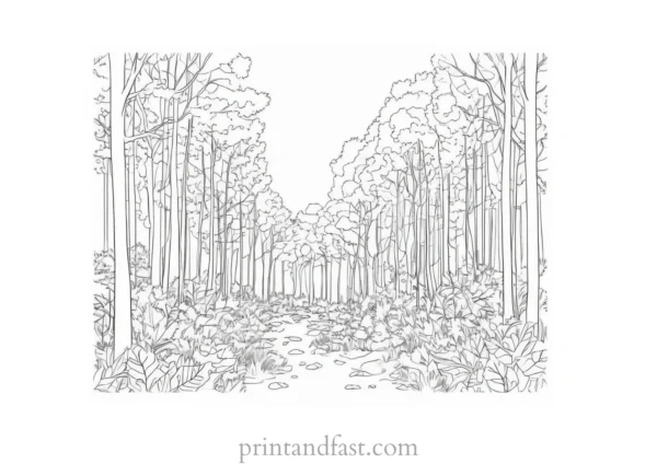 fall coloring page forest