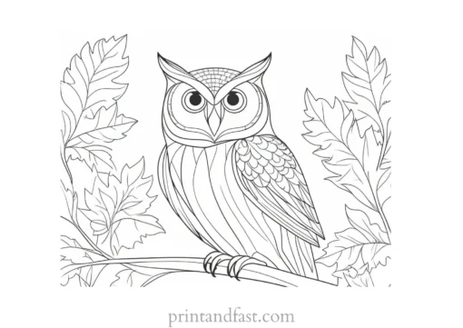 fall owl coloring page