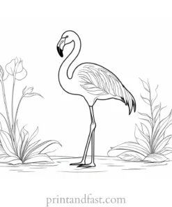 flamingo coloring page adult