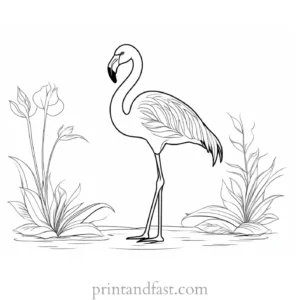 flamingo coloring page adult