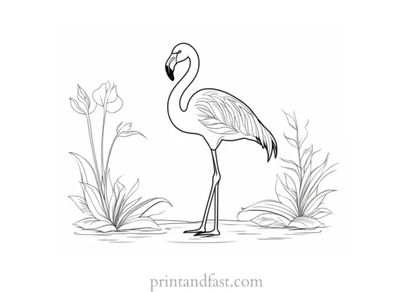 flamingo coloring page adult