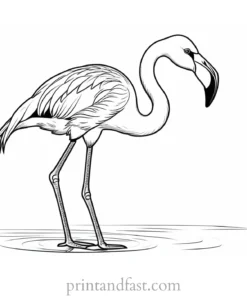 flamingo coloring page baby