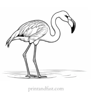 flamingo coloring page baby