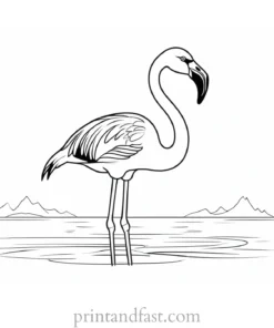 flamingo coloring page cartoon