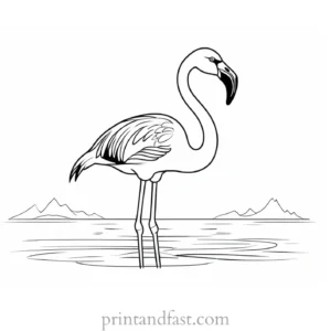 flamingo coloring page cartoon