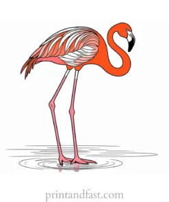 flamingo coloring page colorful