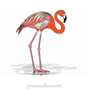 flamingo coloring page colorful