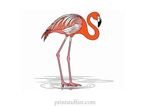 flamingo coloring page colorful