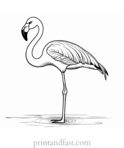 flamingo coloring page cute