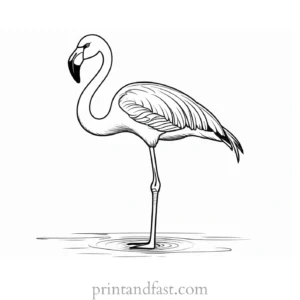 flamingo coloring page cute