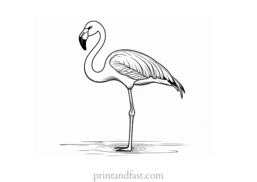 flamingo coloring page cute