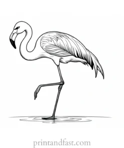 flamingo coloring page detailed