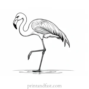 flamingo coloring page detailed