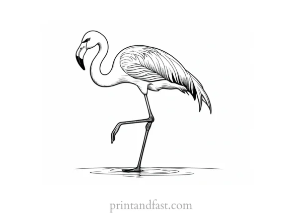 flamingo coloring page detailed