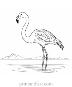 flamingo coloring page easy