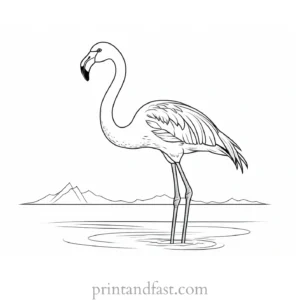 flamingo coloring page easy